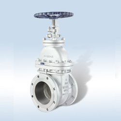 Neway valves